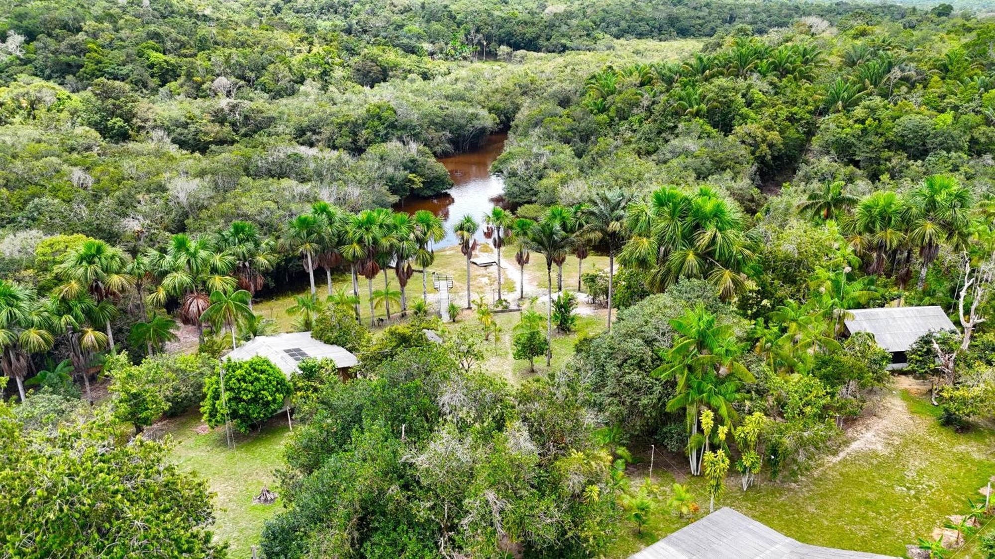 Ponta Poranga Jungle Lodge Μανάους Εξωτερικό φωτογραφία
