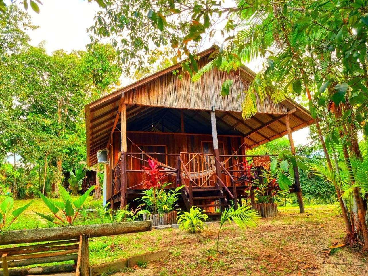 Ponta Poranga Jungle Lodge Μανάους Εξωτερικό φωτογραφία